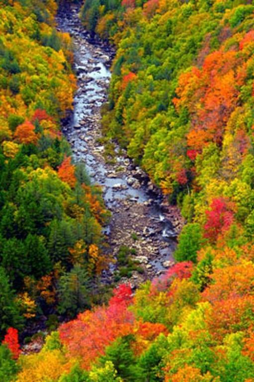 Blackwater Falls State Park Lodge Davis Eksteriør bilde